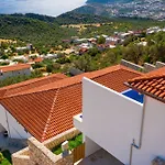 Akasya كالكان